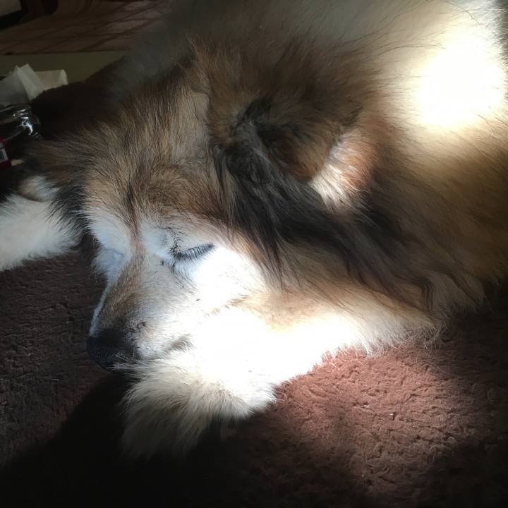 178078b6 a66b 4402 b442 750c9f3a0d85 1610769300106