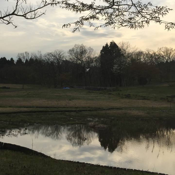 17809bac 9e79 41cc aac1 9d1eba616af3 1555490516907