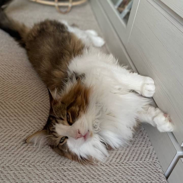 1780d81e e793 4b1d 806e 619317d3d262 1668239279148