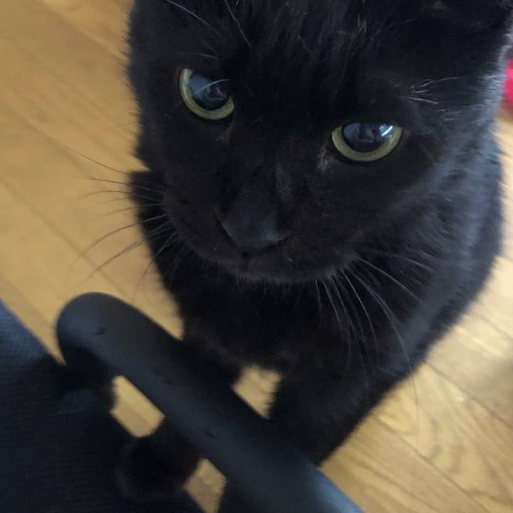 1780fb8c c3a8 4429 8f25 374231d360d1 1617916433663