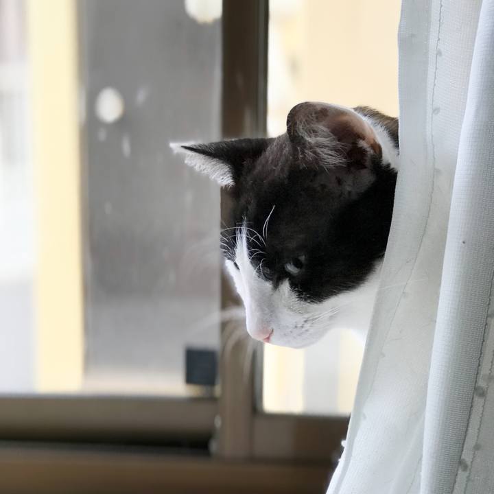 178106fb fd21 46d3 a775 28fadc3e32f7 1530064535806