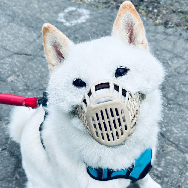 17810c7d e613 4f59 b4f7 e19402008e7a 1684444633425