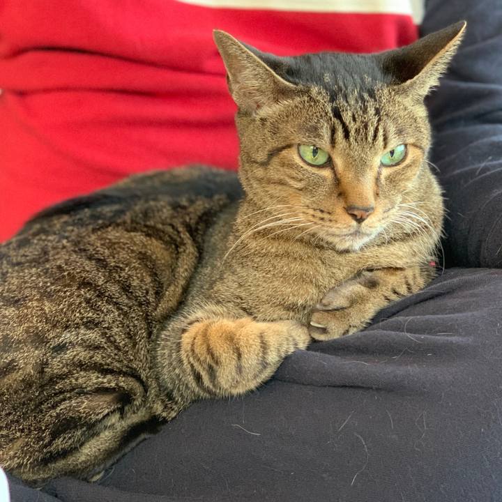 17813734 0838 40cc abf0 c1d9ce7fc160 1572744196594