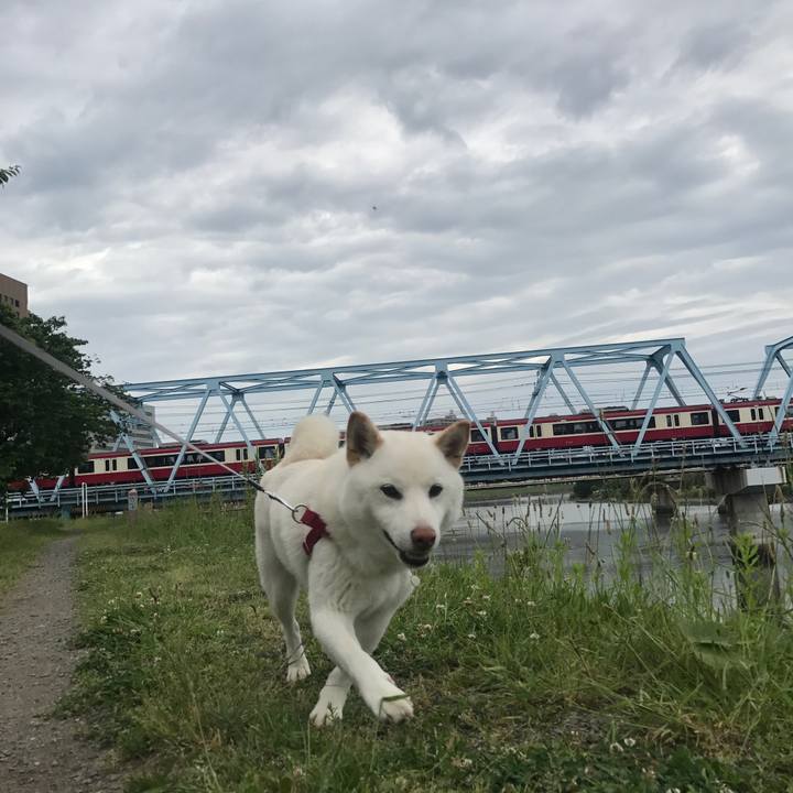 17814d9d 21bb 47eb af72 037322cb51cd 1526180413916