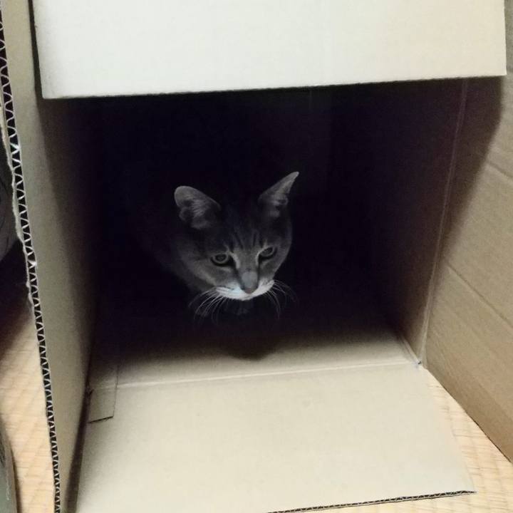 1781bc91 9f7d 4d80 bc1a a4b925d27434 1679649265522