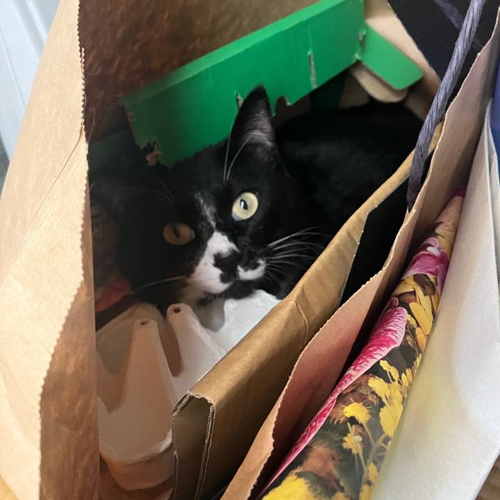 1781be4d 5598 48c4 be8e d0bf314deac2 1687405177923