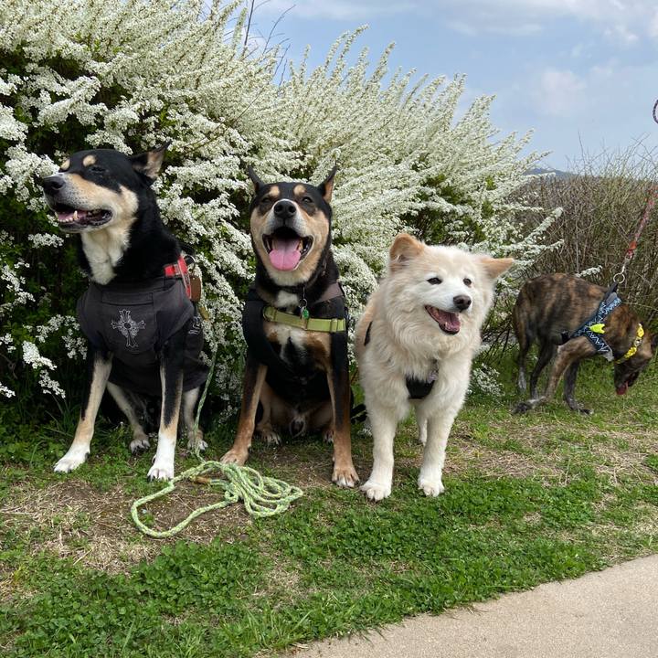 1781bf70 0131 4c15 9b48 0a449c1b527a 1712760936187