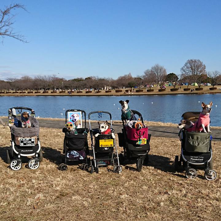 1781cba4 1ca3 4df2 950c 5940de691d73 1609647782447