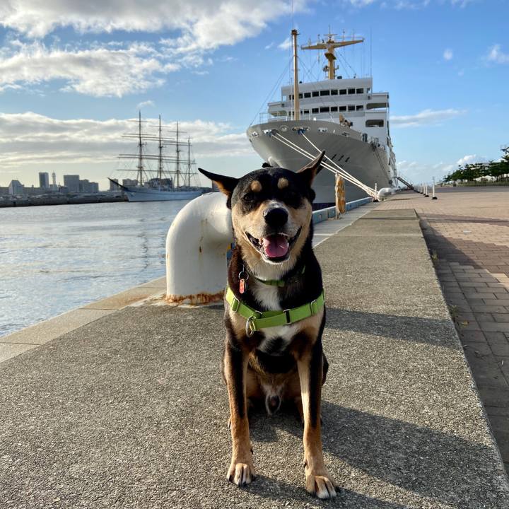 1781d57d 8ab8 486e ae3f ea561d91567d 1601250157510