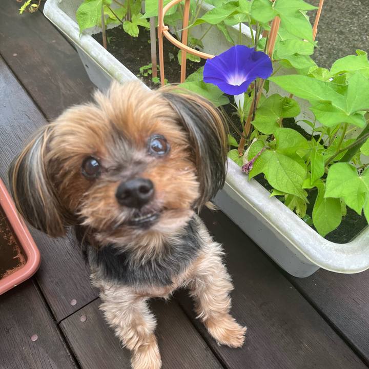 178200db dc68 4d0c 9f1d a3ff326795c5 1719618547178