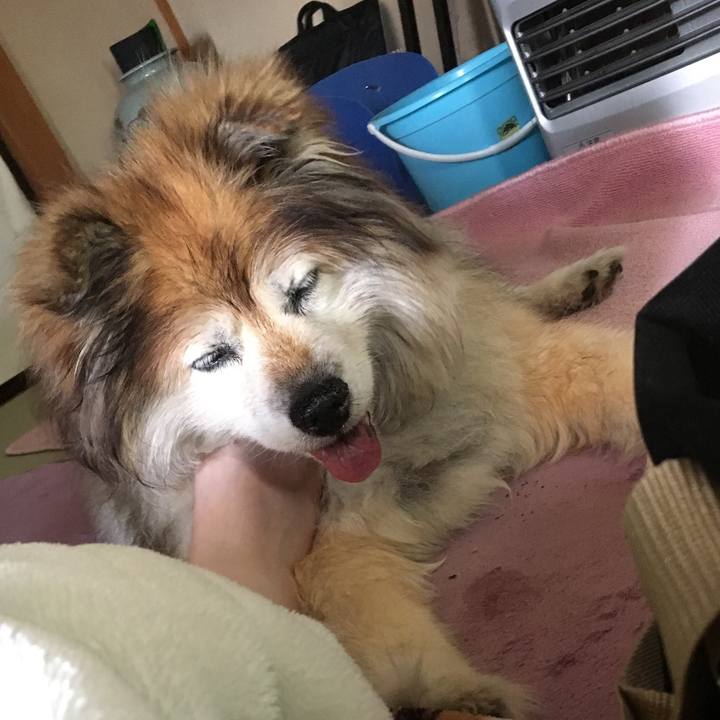 17821a97 291f 4ac6 a020 1a2bcdfe6297 1573474899129