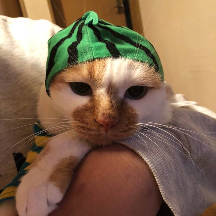 178248ef b6ef 4232 aba3 1bea476061bc 1515505049003