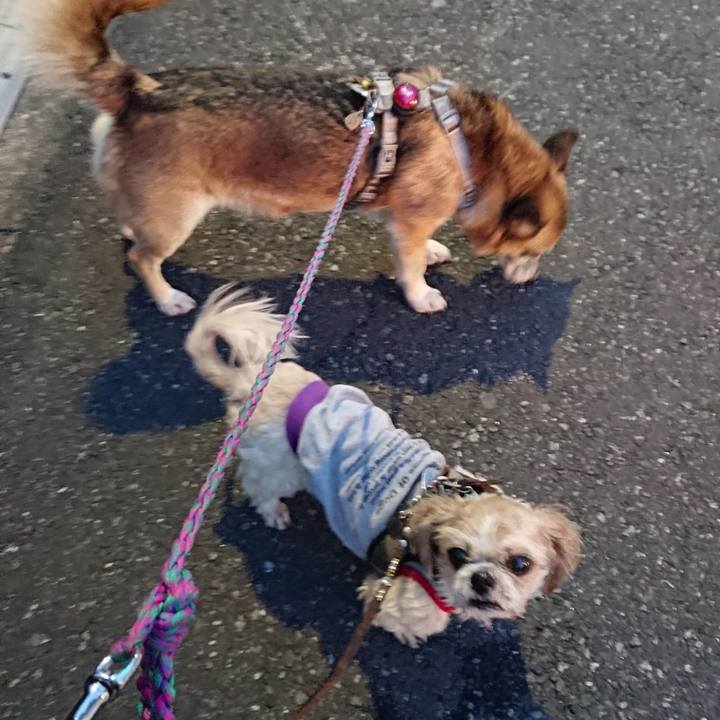 178263b5 b645 412c 954d 17f1ef516868 1584025590391