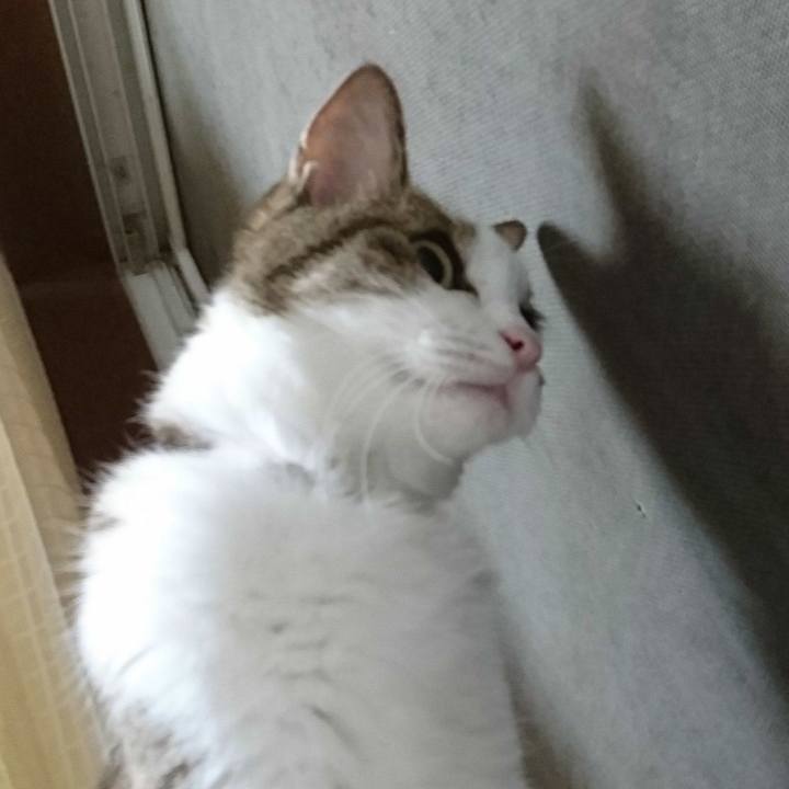 178272ba 57e6 4458 8ab6 f7375e1aa75f 1517139796712