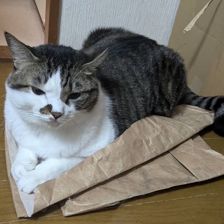 1783471b 715e 44b3 b9bd 67a6d645e349 1729464242230