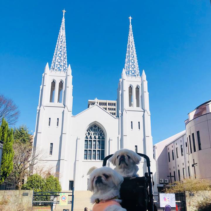 17835eaa 6d54 4251 8b14 41eb9c3925fd 1614737706685