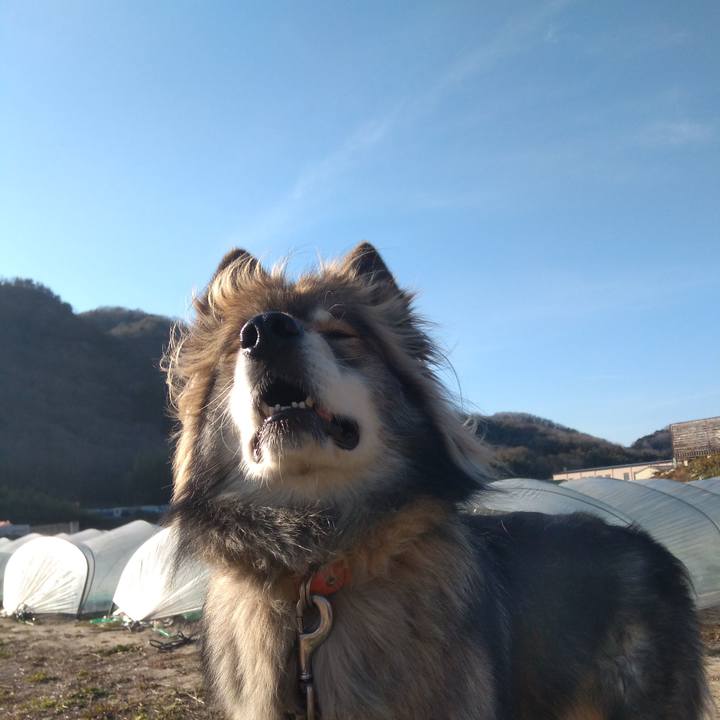 17836962 9358 4e88 9f6f 62a479d6d96f 1581403699835