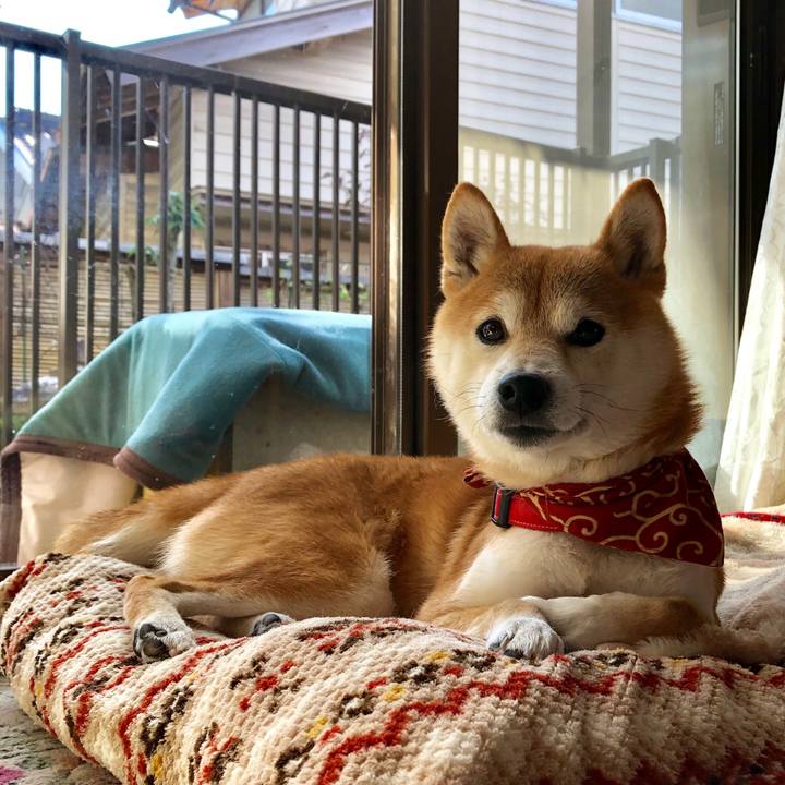 17837ab6 444e 42c5 91a0 da5d43bbaa82 1542423975657