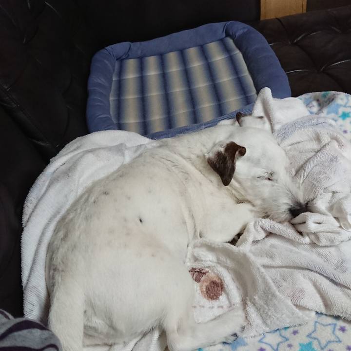 1783af76 1937 4a37 8b69 eda3f8d3cbff 1560122624349