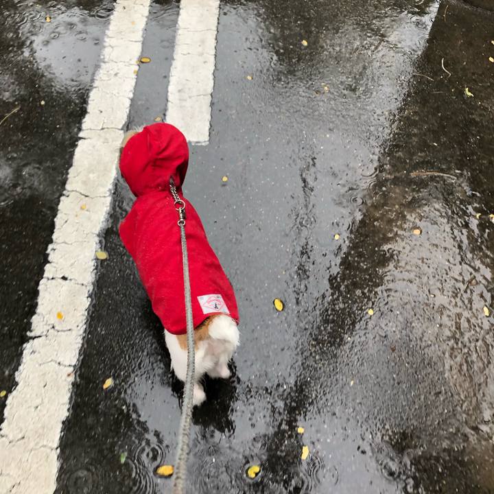 1783ca50 7c58 45d9 8590 98f5c3926e42 1595461974290