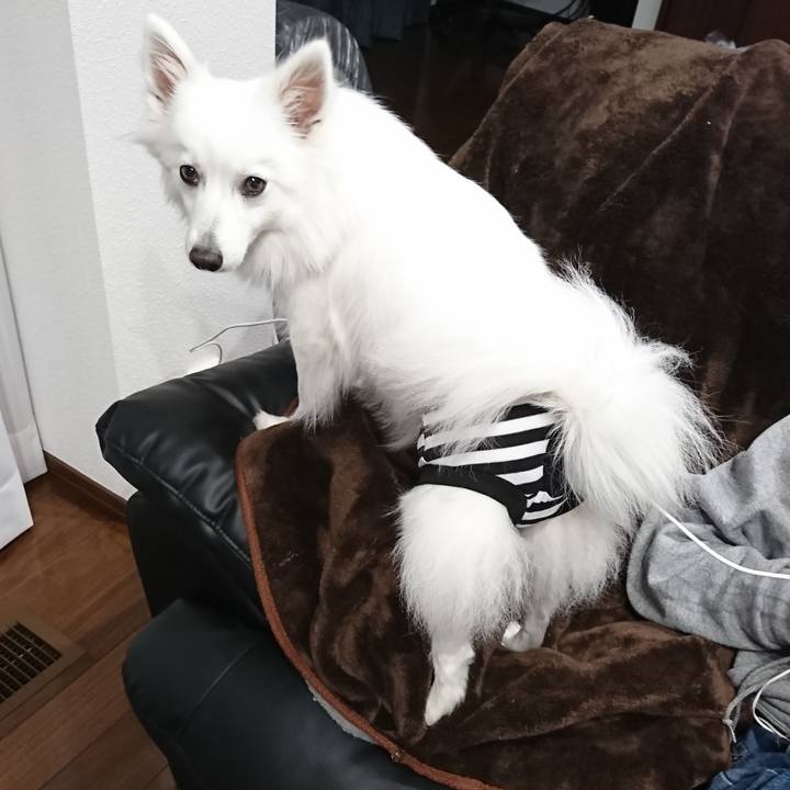 1783e78e 3f41 420e 9e73 227ad3aafd56 1525705104360