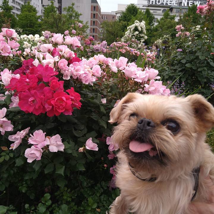 1783ea4c b1a3 4a60 b3f3 3eb762ce9629 1653116023517