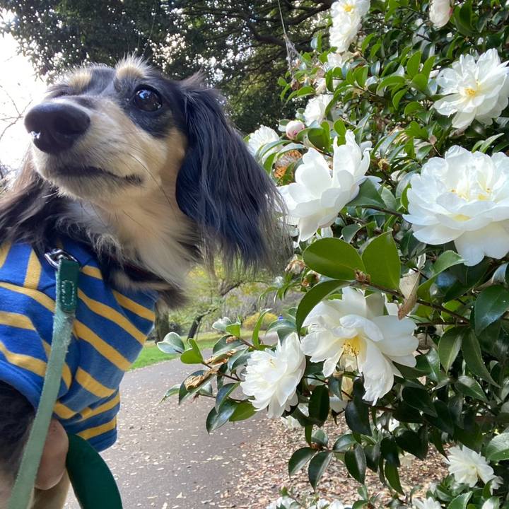 1783f033 4876 438c ac08 1c37d82e692d 1763939482810