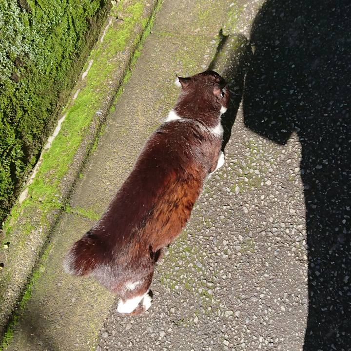 178407dc 2b01 4595 9c11 2c2aa211180a 1686887986325