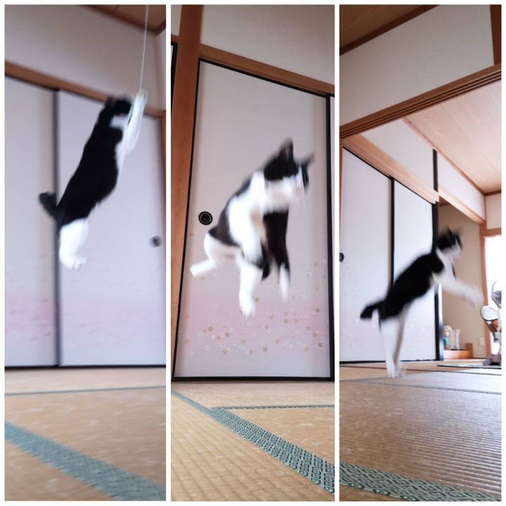 178408e6 5945 4118 a46e 15cda5afe0e7 1590827180914