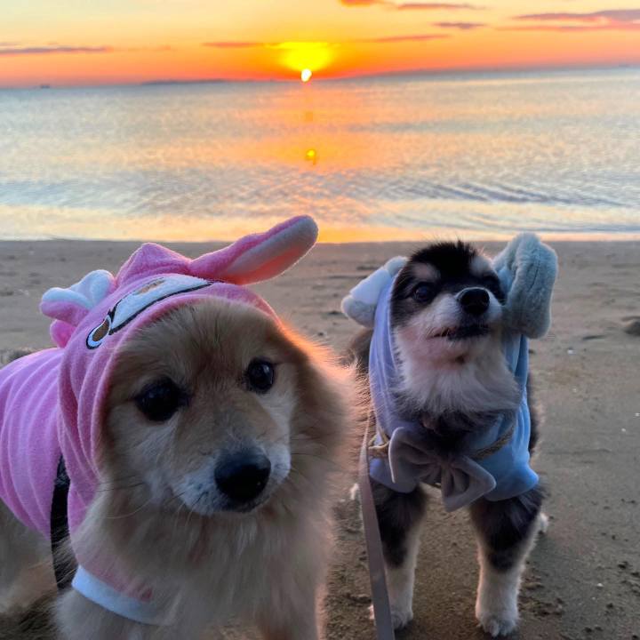 17845053 08d3 42d4 915e 082e52592cef 1672563938100