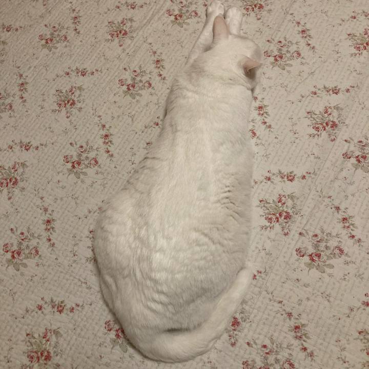 17846b7e 4929 4328 8d2d 08afd716a296 1650979620046