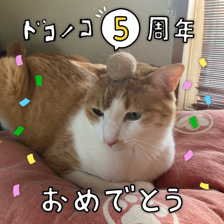 178478ed 0fae 4860 bbf8 b2c29aa72921 1622945376412