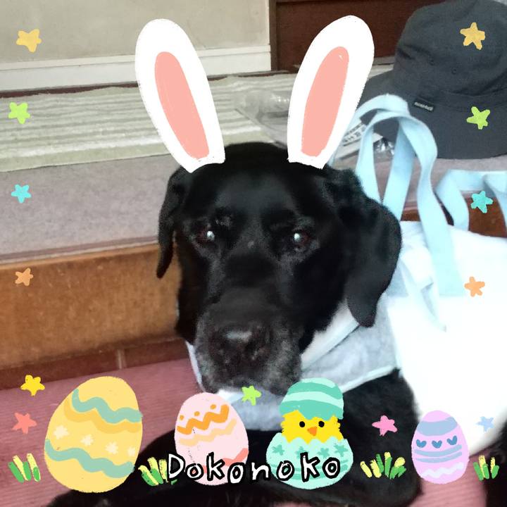 17848ea7 3c58 4c94 a7eb 5d01477c49ba 1712300050023