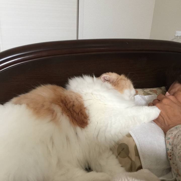 1784d8c3 d756 4bfd 9b70 f9ac189cd8d8 1571754932754