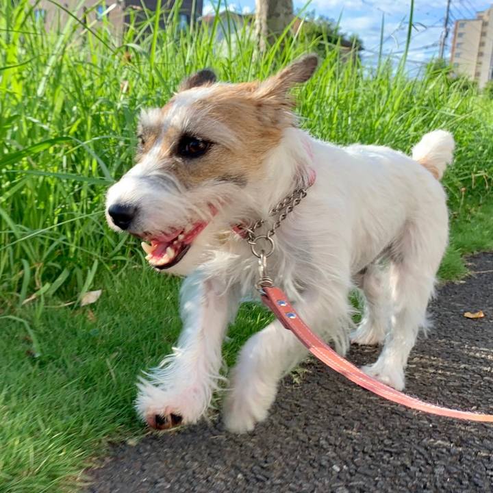 1784f4c0 6b2c 49cf afeb 4a47fd10d351 1628637693179