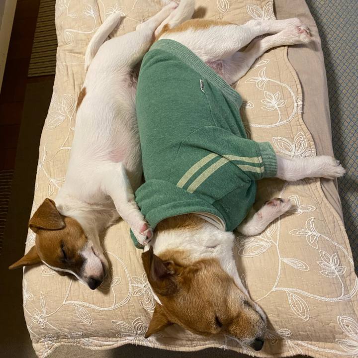 1784f599 7d6a 44cb 83df f2800a9937ba 1698926852121