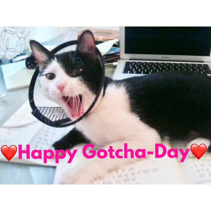 178505af 14ac 4408 bd4b 3b5dc5f7b138 1625783995885