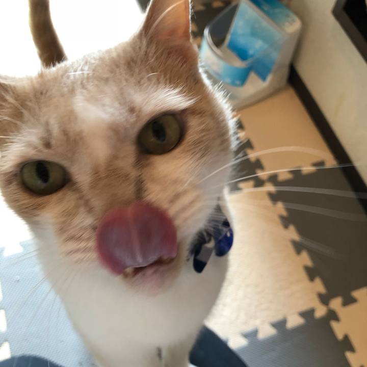 17856d21 642b 4aa9 84d6 105de52104ba 1533026685645