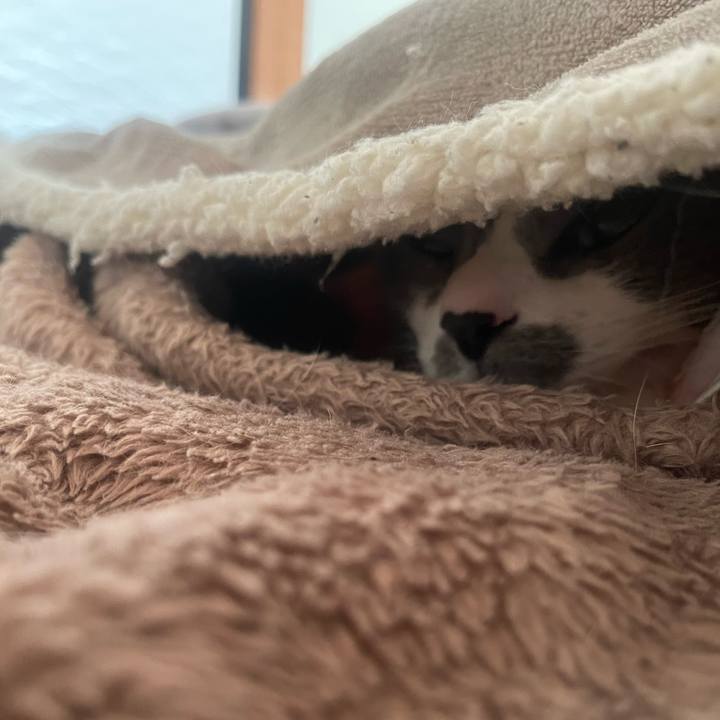 17859caf 7737 45de ae87 91abaed8800e 1740005566455