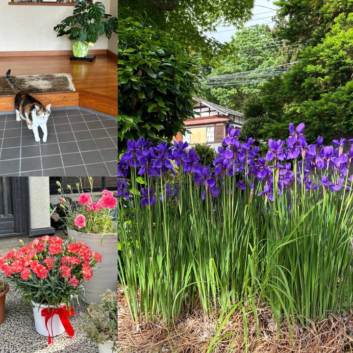 1785e608 a13d 4d06 8b4a eedb84cc6367 1715468521071