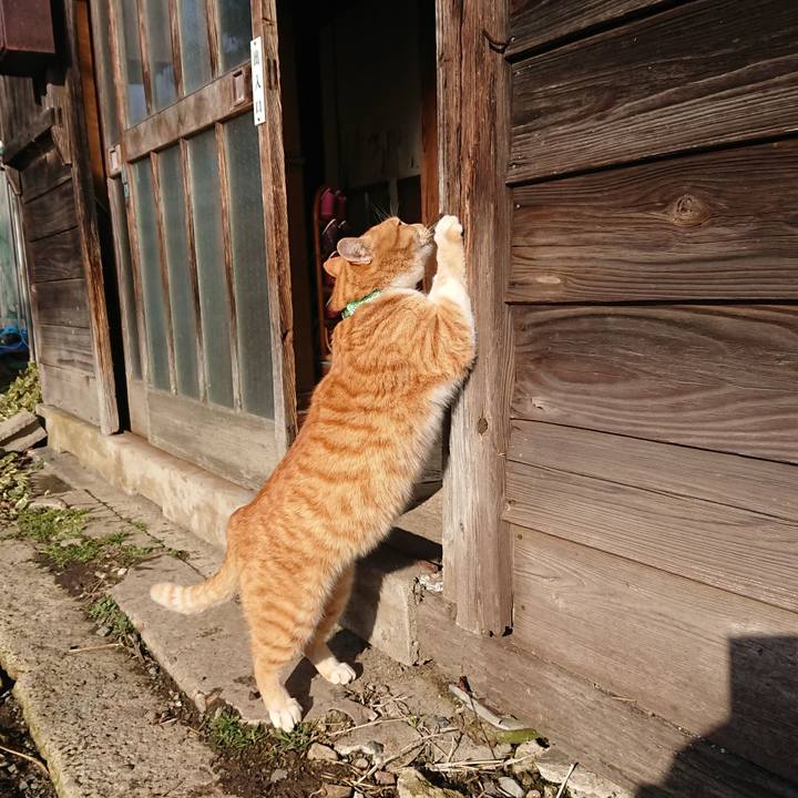 17860df8 32dd 44df ae29 19ef7a6626cc 1579997800369