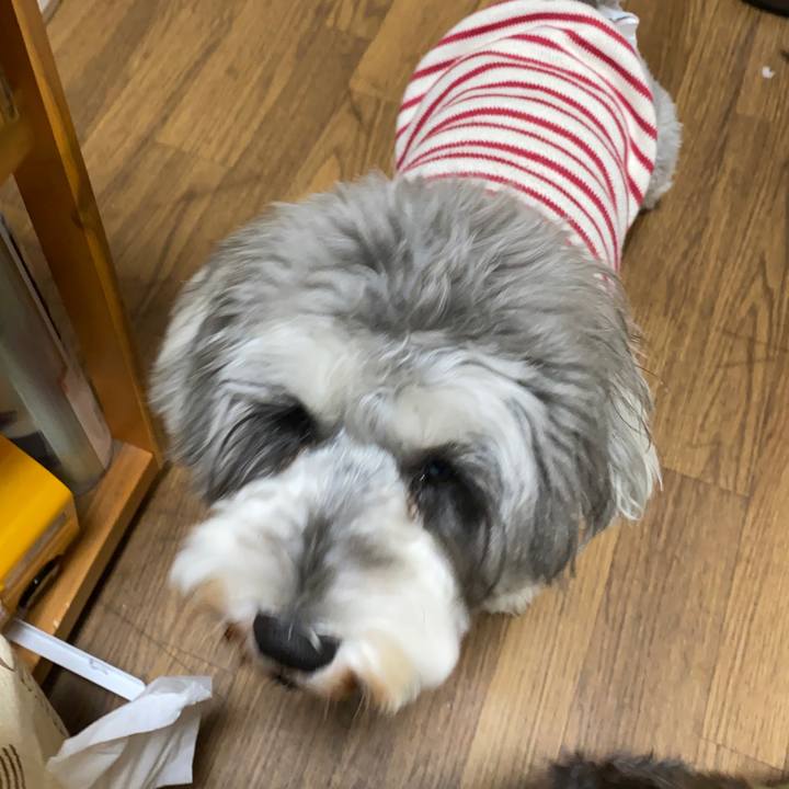 178615e0 8d50 4df7 8a1f e6d023eee9e0 1610467936043