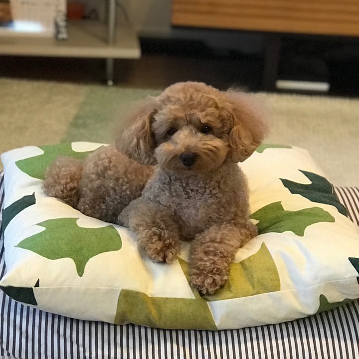 178642e1 d919 471d 8fdb e5df5302298d 1537004909617