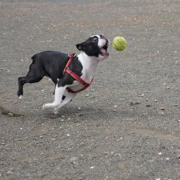 1786b38d 2c60 4881 ab9e 5f2f5193e49b 1523241598516