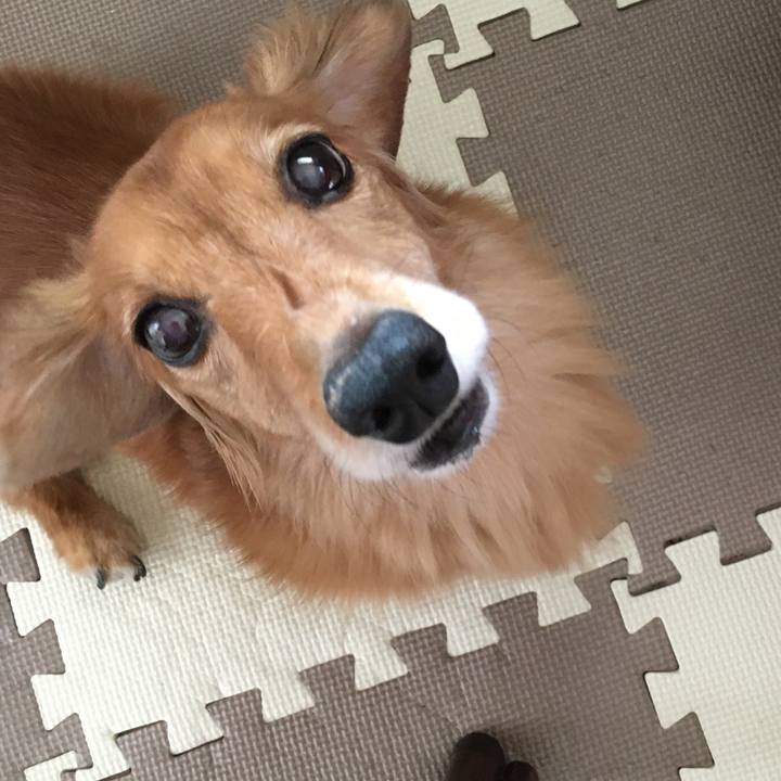 1786d717 ee69 4c2b 92c8 4ed083963135 1599303509992