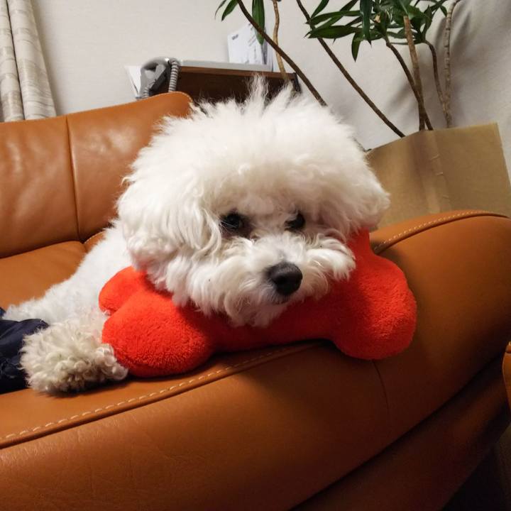 178702c0 1497 4b29 88c0 a1810a75e301 1519643823921