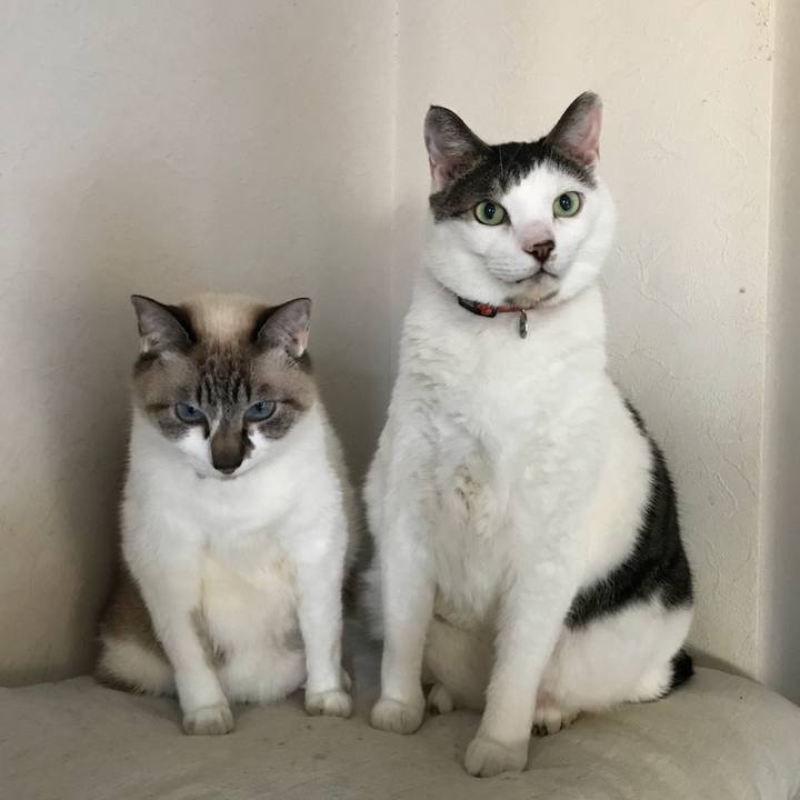 1787251c 8146 4741 a36e 07936d85099f 1514808297750