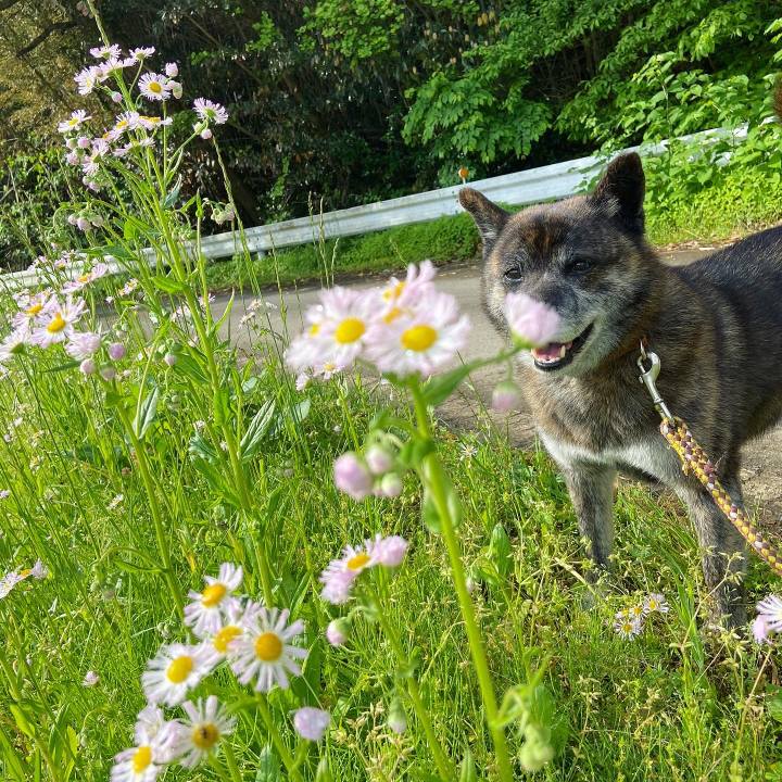 1787270a e752 45a8 bb0c af1422db1c20 1621466802683