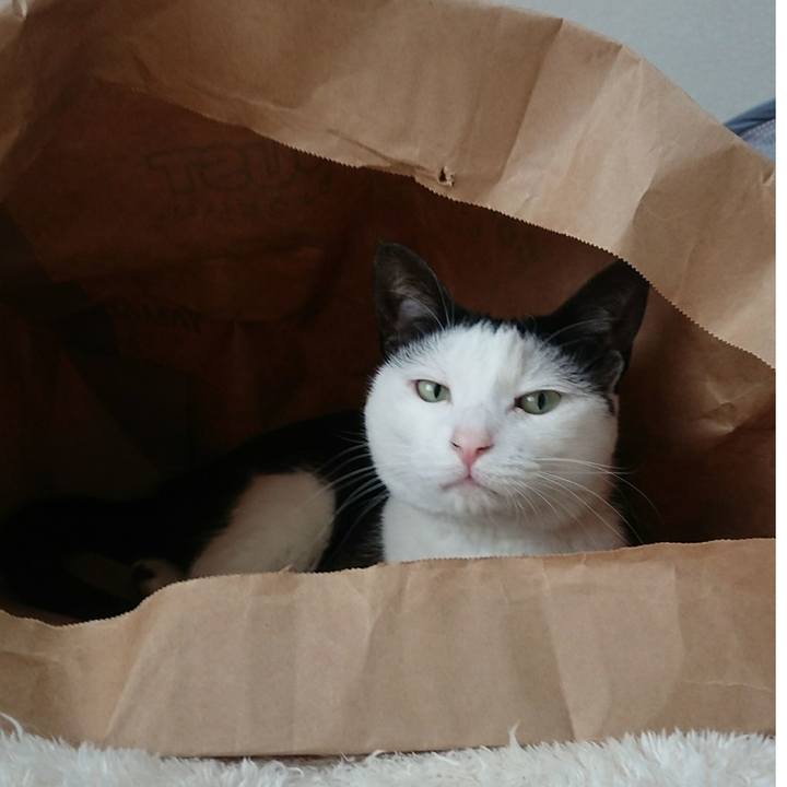 17873af2 08a0 4e52 87f6 6e70caf65ad7 1516687095807