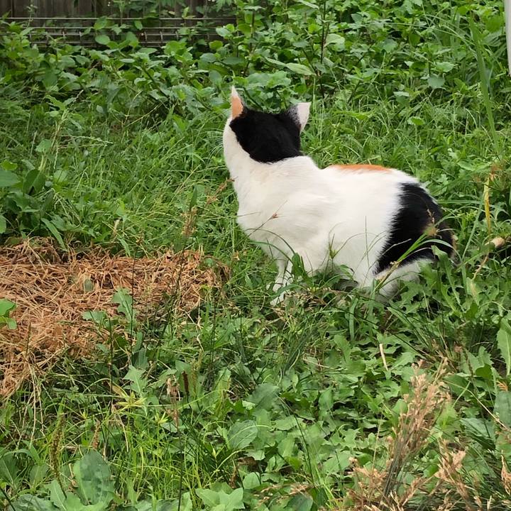 17873f2a 12a5 4aba abc8 f99f5ea1da1b 1599085563587